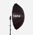 cactus parasol 102cm fotoaparaciki (2).jpg